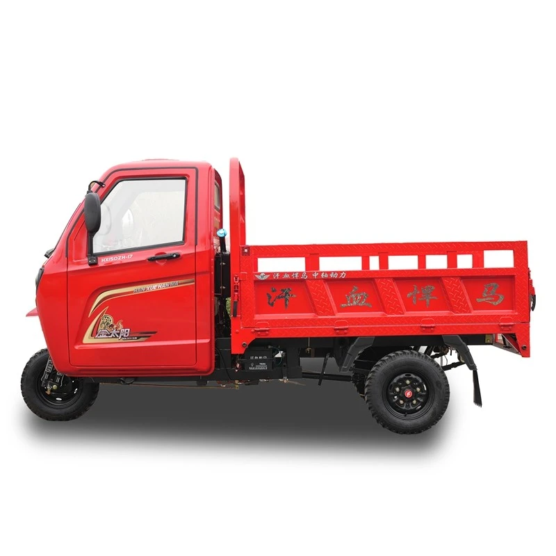 250cc Cargo Trike for Transportation